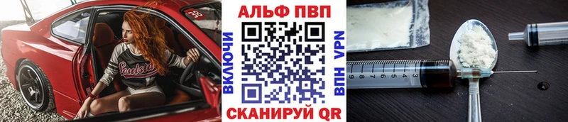 A PVP СК  Кисловодск 