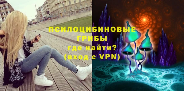 МДПВ Коряжма