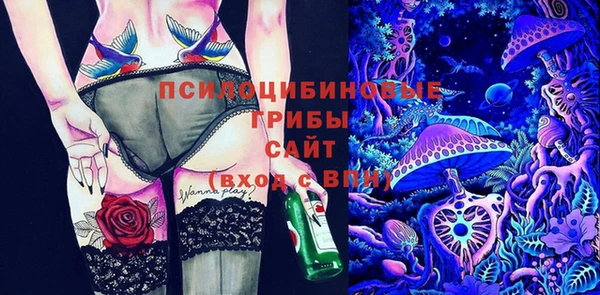 прущие крисы Аркадак