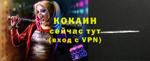 МДПВ Коряжма