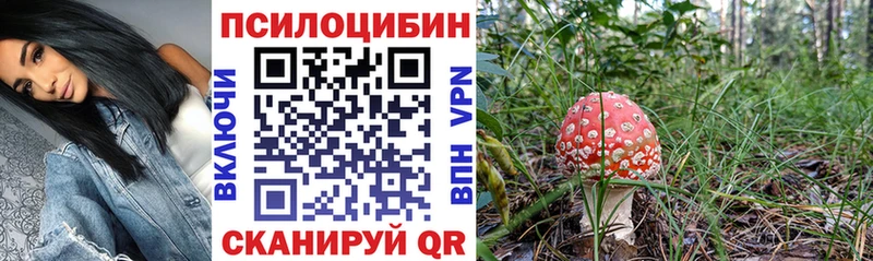 Псилоцибиновые грибы GOLDEN TEACHER  как найти наркотики  мега ТОР  Кисловодск 