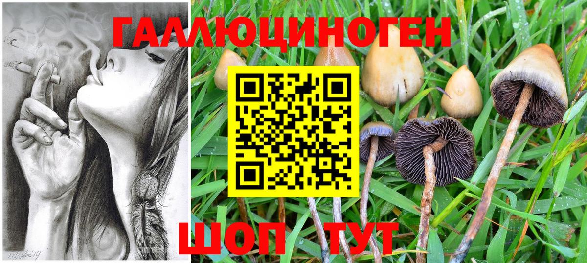 Галлюциногенные грибы Cubensis  Кисловодск  Галлюциногенные грибы ЛСД 